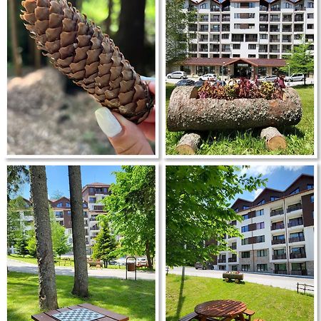 The Green Apartment Borovets Exterior photo