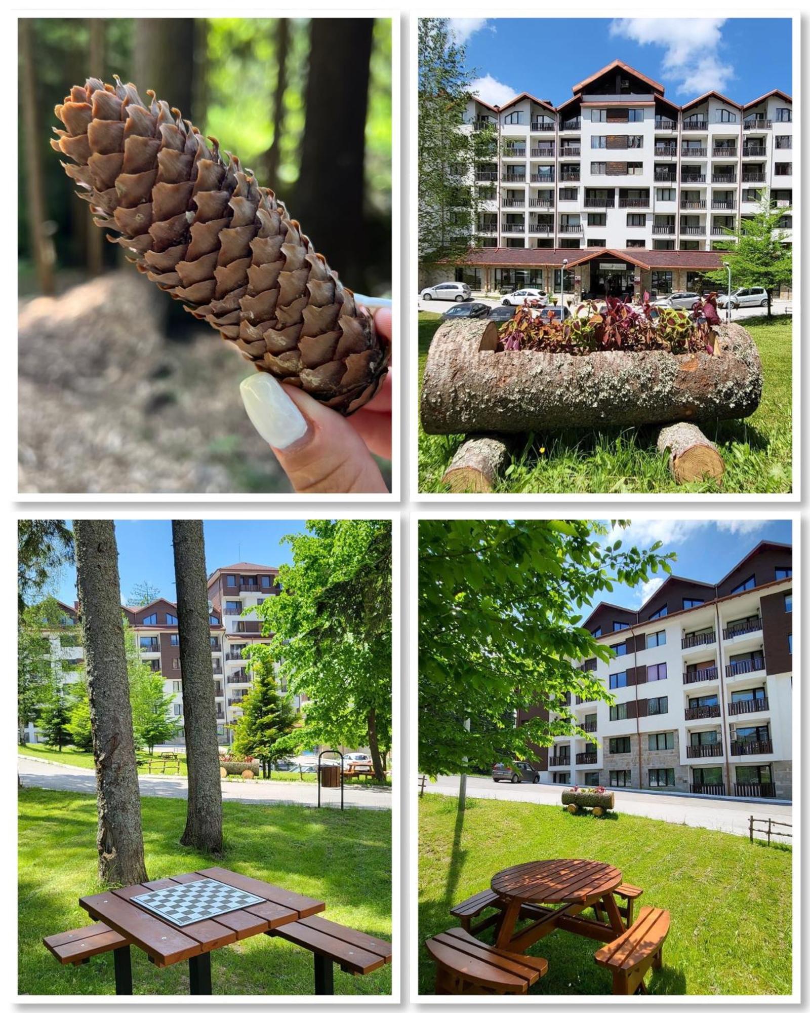 The Green Apartment Borovets Exterior photo