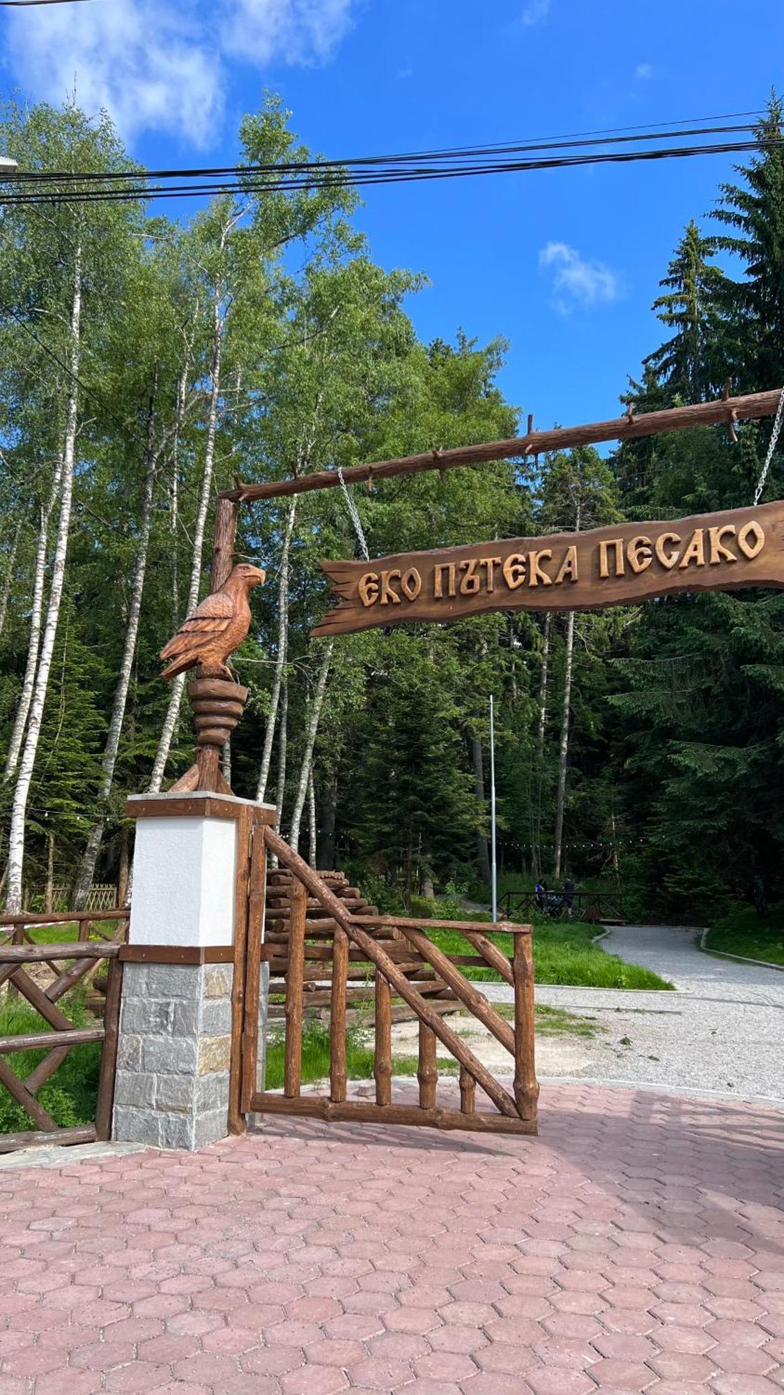 The Green Apartment Borovets Exterior photo